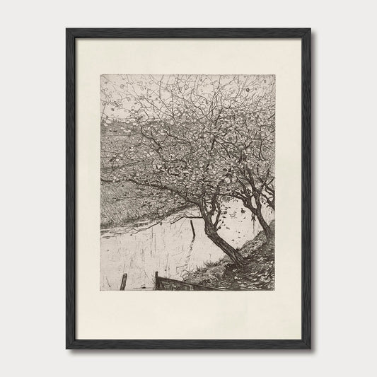 Antique-style black-and-white apple tree illustration in a black oak frame, featuring an old leaning trunk and delicate branches.