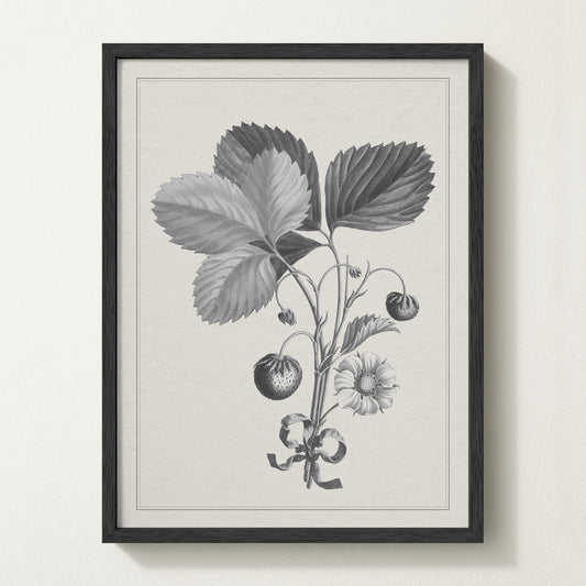 Strawberries II