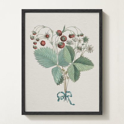 Framed vintage strawberry botanical art print featuring ripe red berries, green leaves, and delicate white blossoms tied with a teal ribbon.