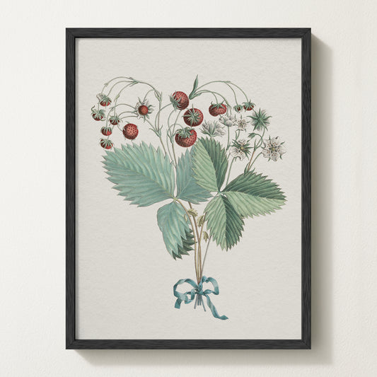 Framed vintage strawberry botanical art print featuring ripe red berries, green leaves, and delicate white blossoms tied with a teal ribbon.