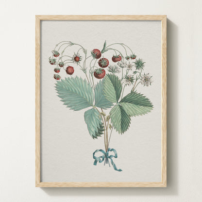 Framed vintage strawberry botanical art print featuring ripe red berries, green leaves, and delicate white blossoms tied with a teal ribbon.