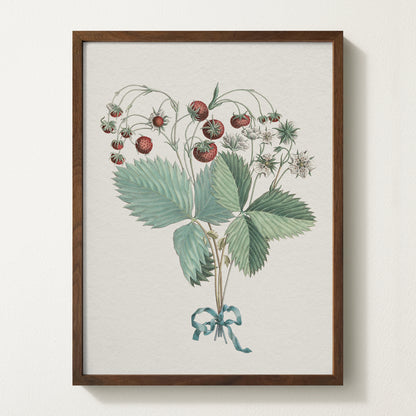 Framed vintage strawberry botanical art print featuring ripe red berries, green leaves, and delicate white blossoms tied with a teal ribbon.