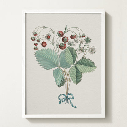 Framed vintage strawberry botanical art print featuring ripe red berries, green leaves, and delicate white blossoms tied with a teal ribbon.