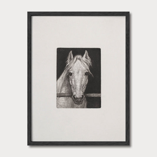 Framed black and white horse portrait sketch in a black solid oak frame by Avery Home
