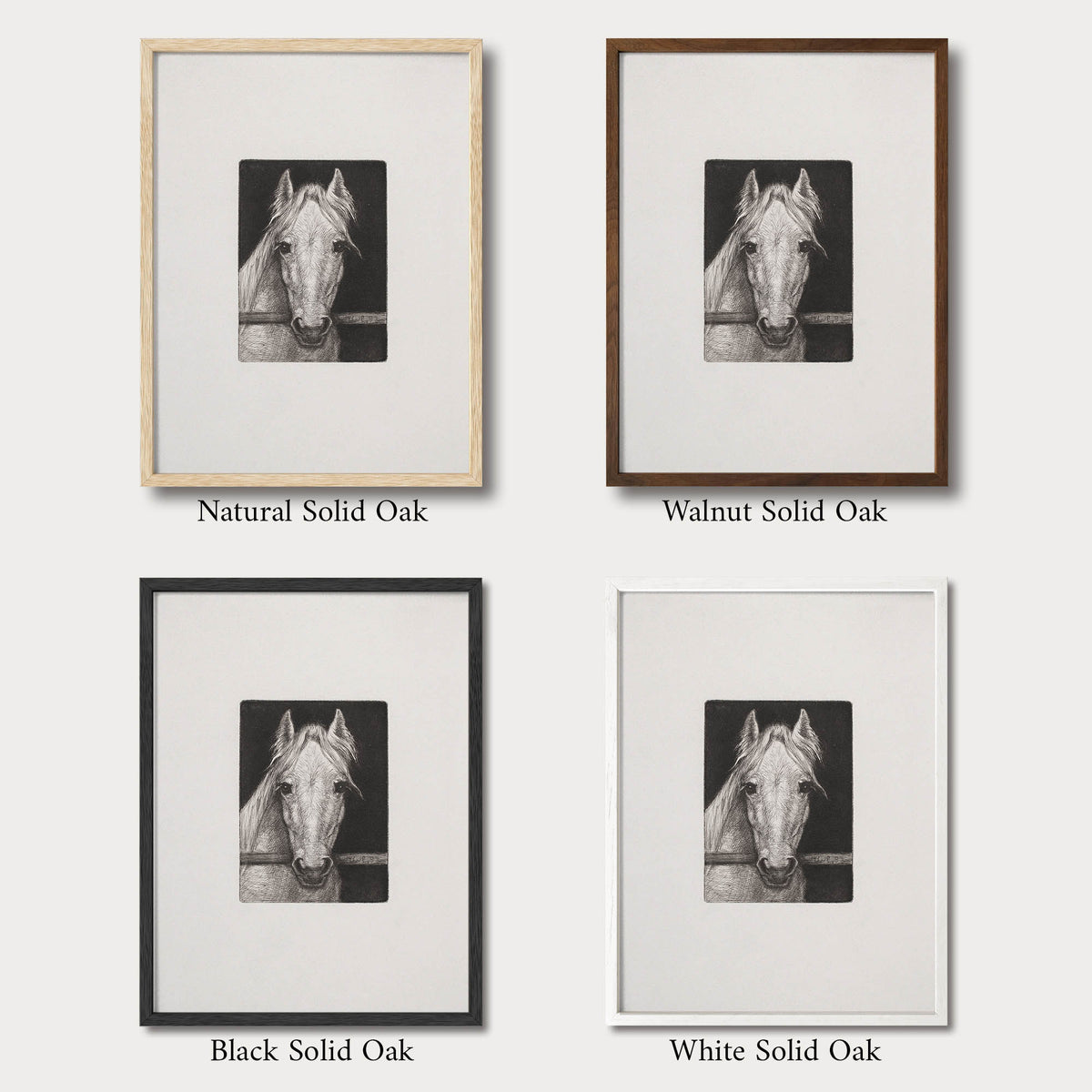 Horse sketch wall art shown in natural, walnut, black, and white solid oak frames