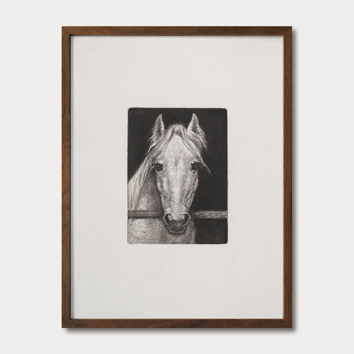 Framed black and white horse sketch in a walnut solid oak frame