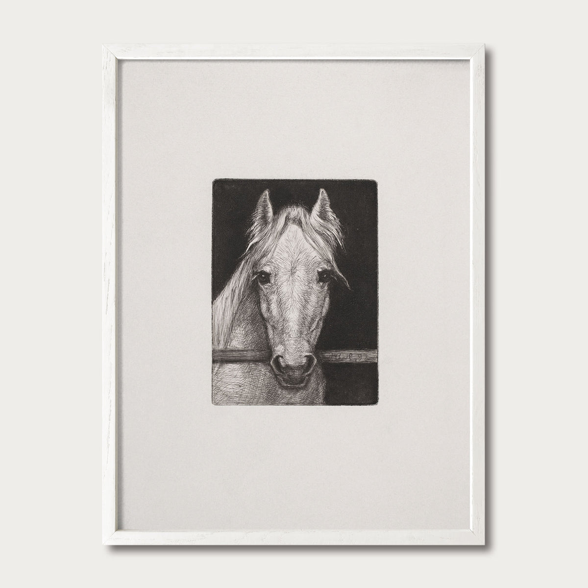 Black and white horse sketch framed in white solid oak with a wide mat