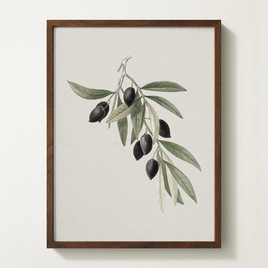 Antique olive branch print featuring black olives on a white backdrop, framed in solid oak