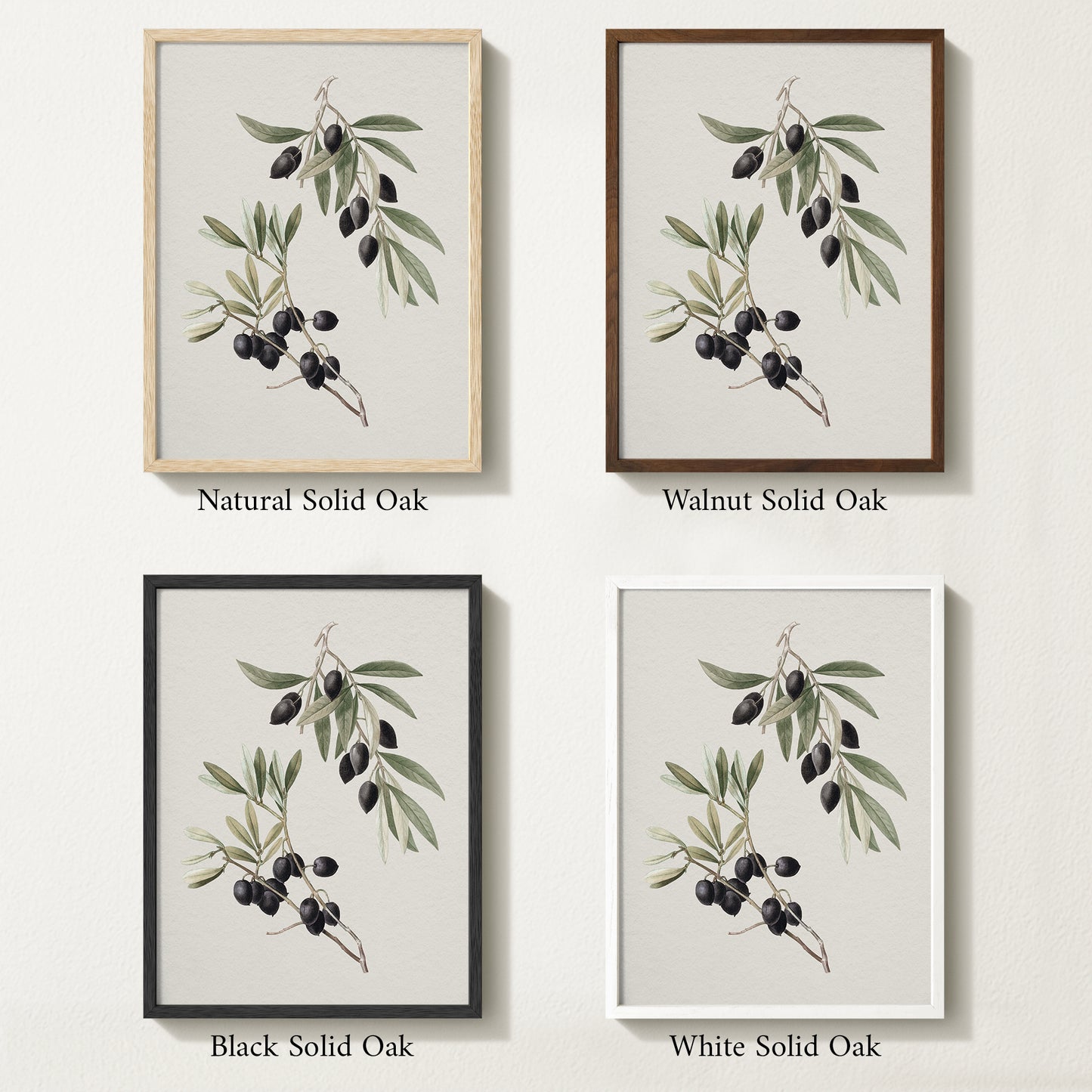 Four framed prints of vintage olive drawings with different solid oak finishes.