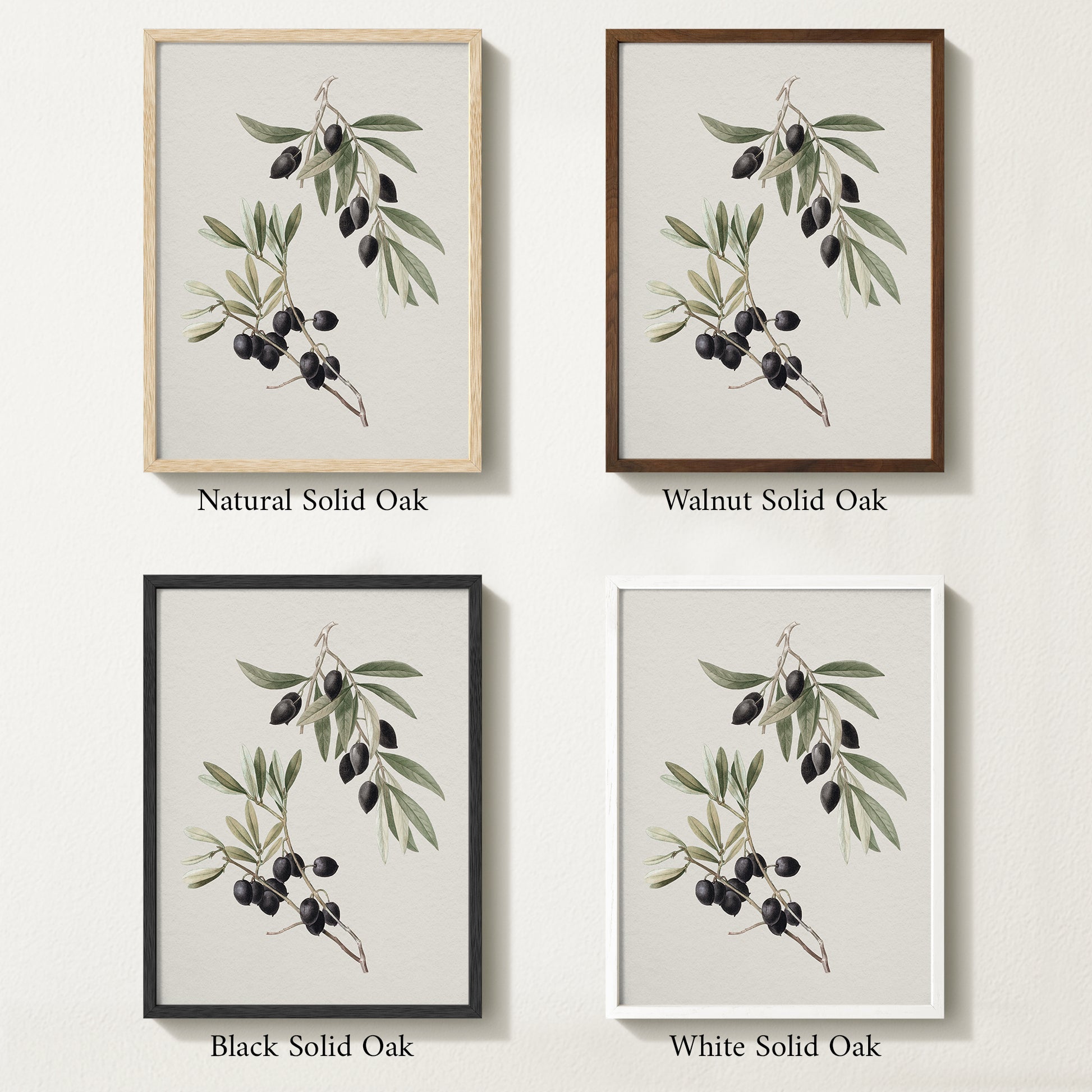 Four framed prints of vintage olive drawings with different solid oak finishes.