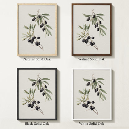 Four framed prints of vintage olive drawings with different solid oak finishes.