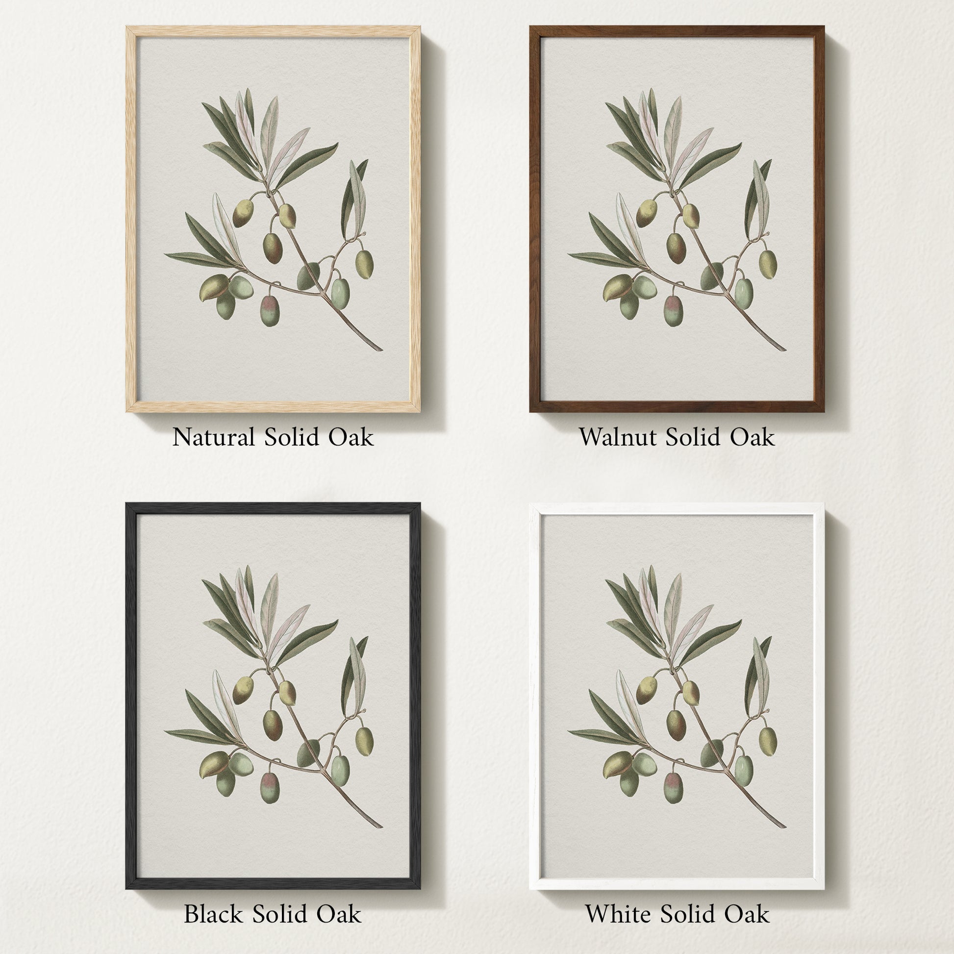 Four framed prints of vintage olive drawings with different solid oak finishes.
