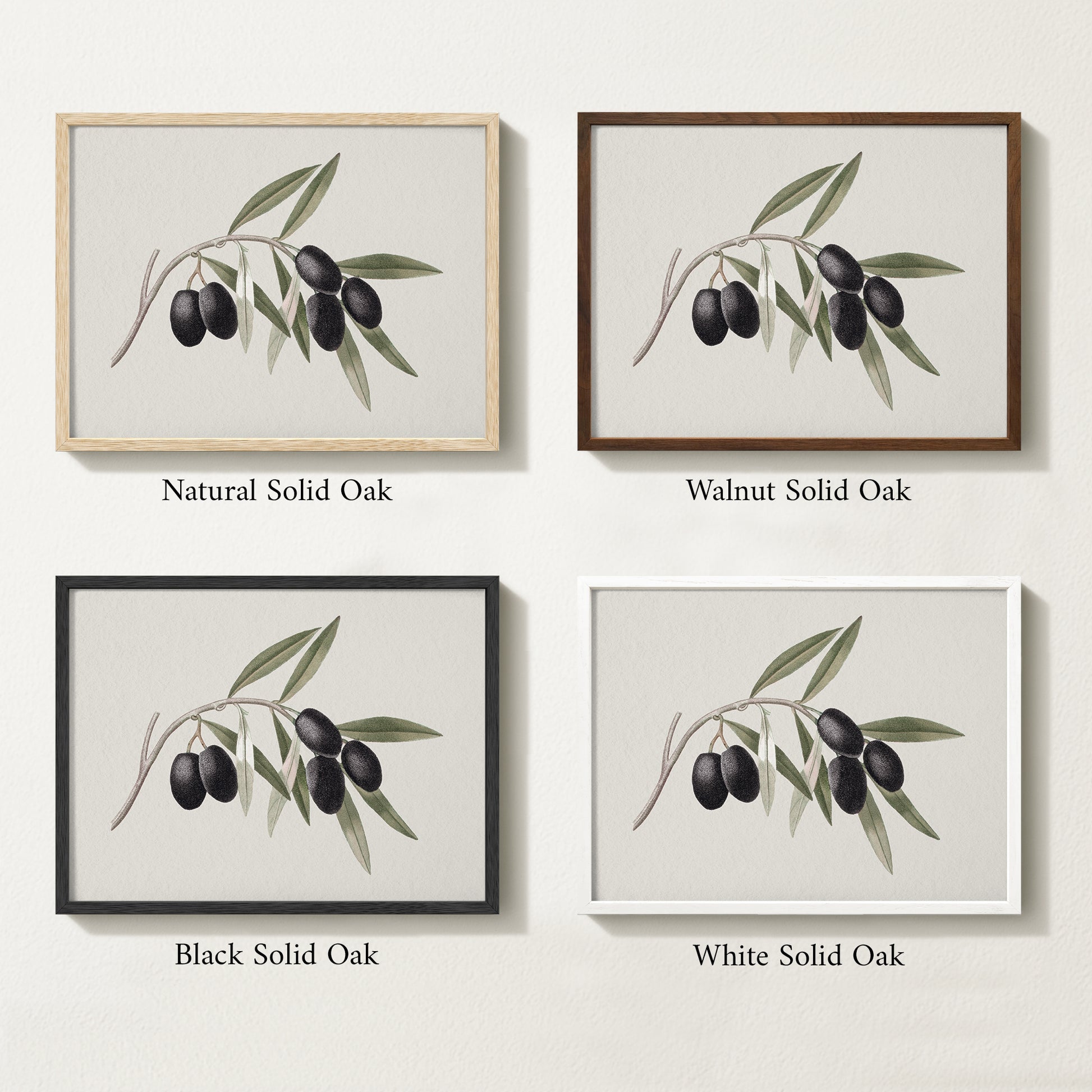 Four framed prints of vintage olive drawings with different solid oak finishes.