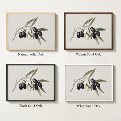Four framed prints of vintage olive drawings with different solid oak finishes.