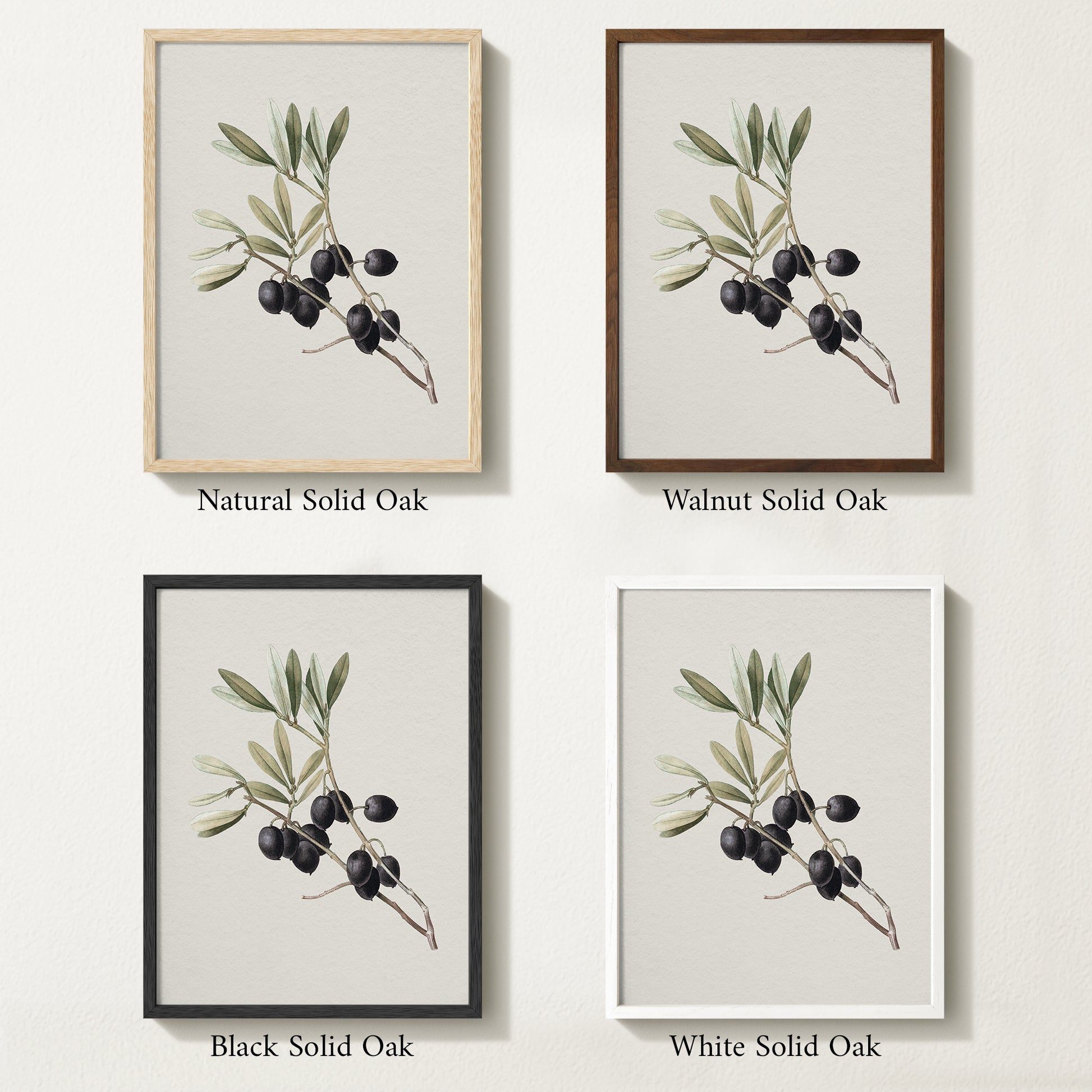 Four framed prints of vintage olive drawings with different solid oak finishes.