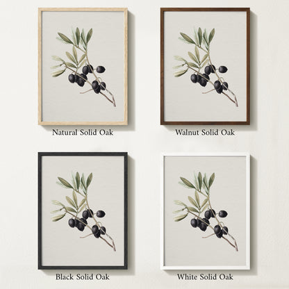 Four framed prints of vintage olive drawings with different solid oak finishes.