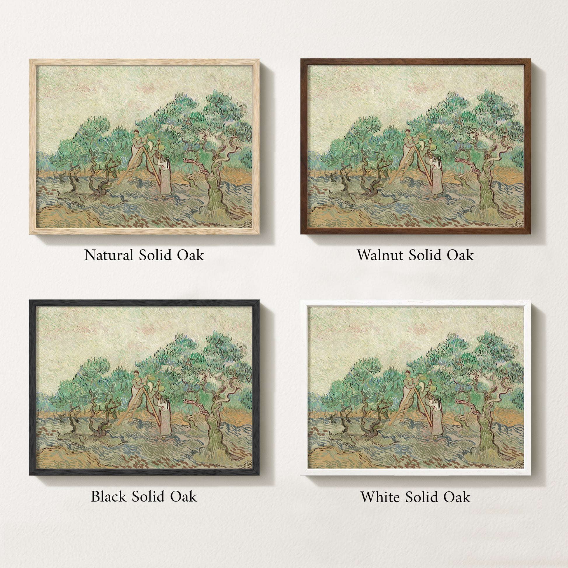 Four framed prints of vintage olive drawings with different solid oak finishes.
