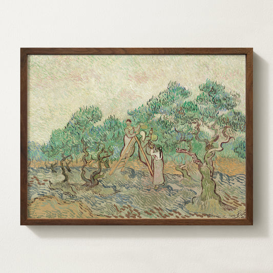 Vintage botanical artwork of an olive branch with black olives on a white background, in solid oak frame