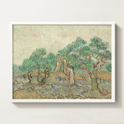 Vintage botanical artwork of an olive branch with black olives on a white background, in solid oak frame
