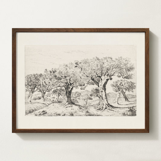 Vintage botanical artwork of an olive branch with black olives on a white background, in solid oak frame