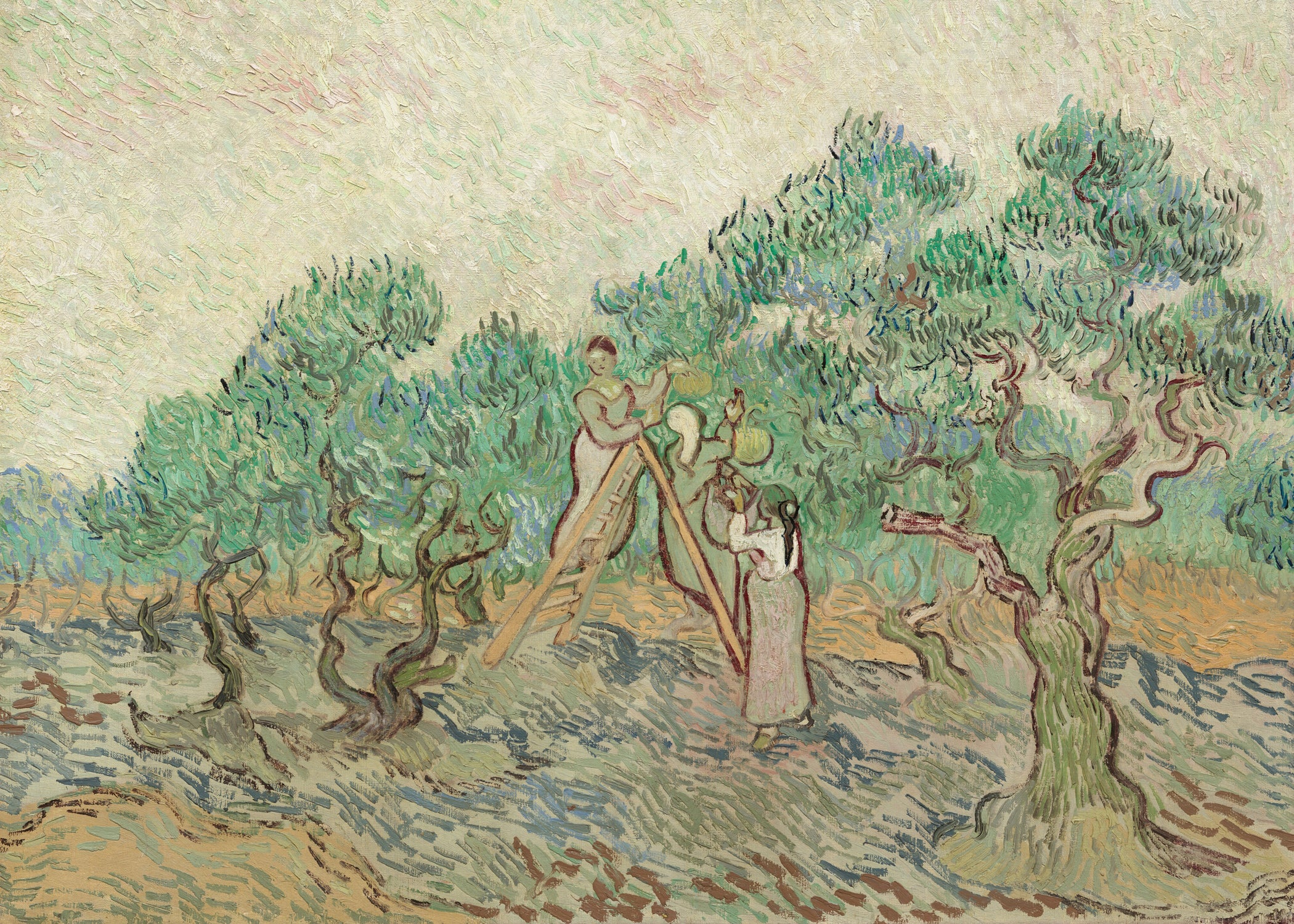 Landscape