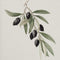 Botanical