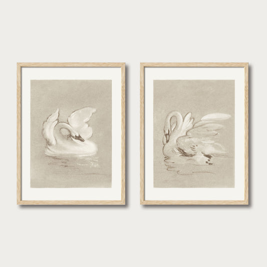 Two vintage swan prints in light oak frames, featuring graceful swan artwork on soft beige backgrounds for an elegant neutral wall display.