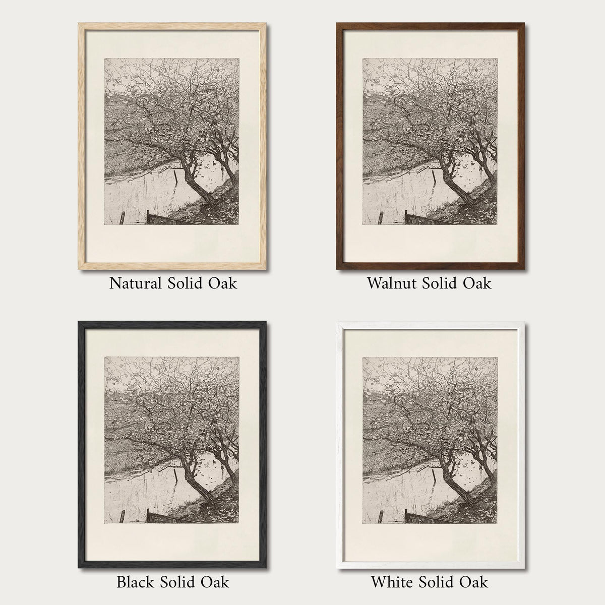 Vintage apple tree botanical etching displayed in four solid oak frame finishes, ideal for traditional and cottage-style gallery walls.